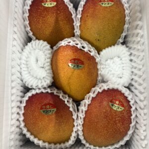 マンゴー（良）2キロ